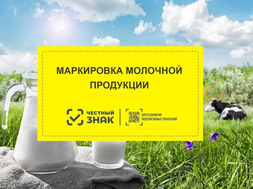 Минэконом Забайкалья: До введения маркировки молочной продукции осталось меньше двух месяцев 