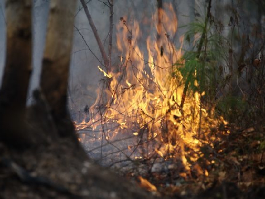 В Читинском районе Забайкалья ликвидировано три лесных пожара