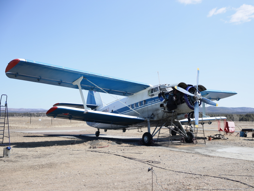 Сотрудники Читинской авиабазы провели мониторинг Беклемишевского и Читинского лесничеств