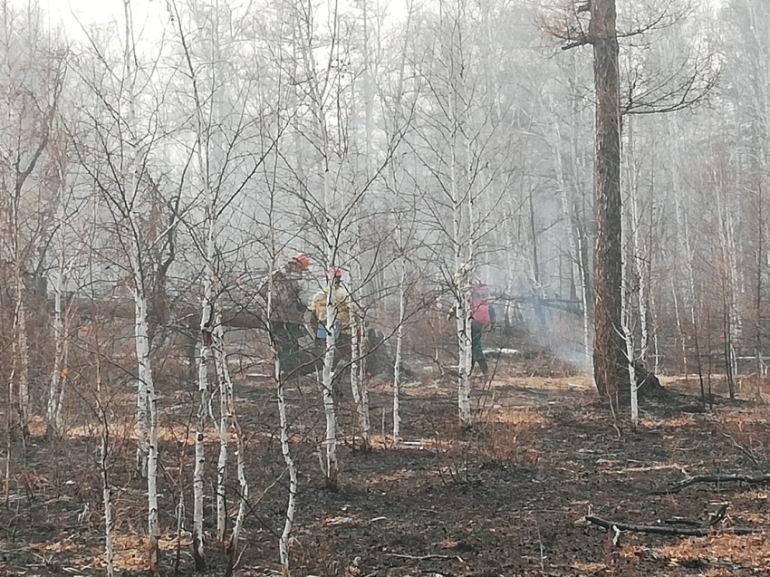 Минприроды: 21 апреля на территории Забайкалья ликвидировано 12 пожаров