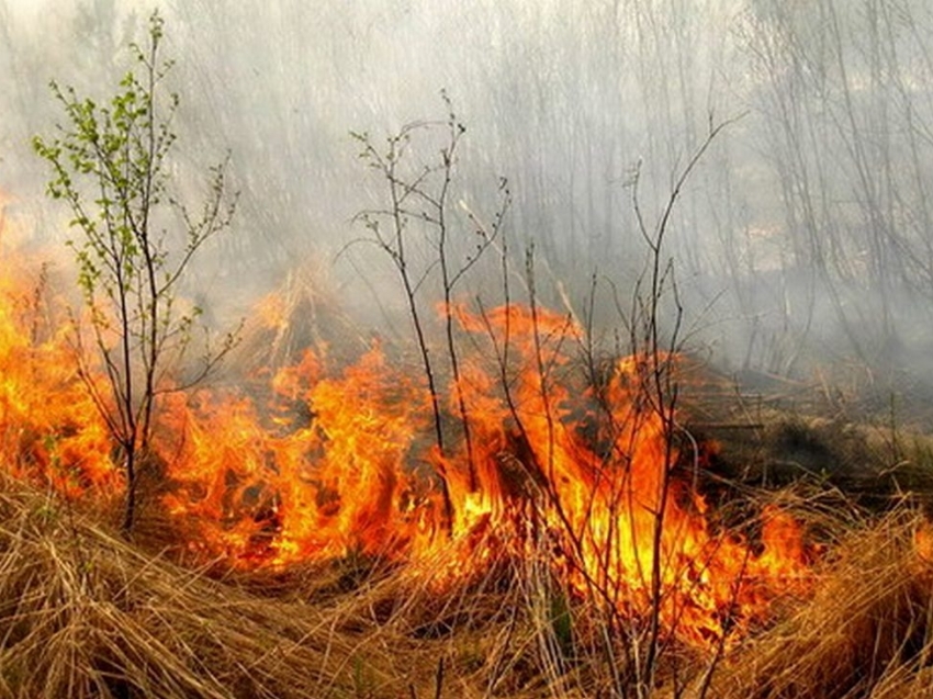 На территории Забайкалья за неделю было зафиксировано 226 возгораний сухой травы