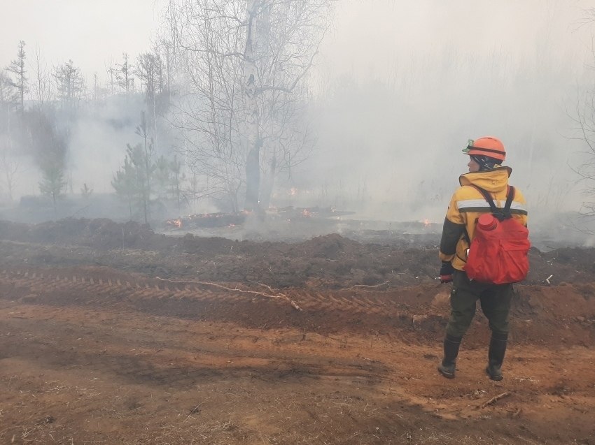 С начала года в Забайкалье зафиксировано рекордно низкое количество лесных пожаров