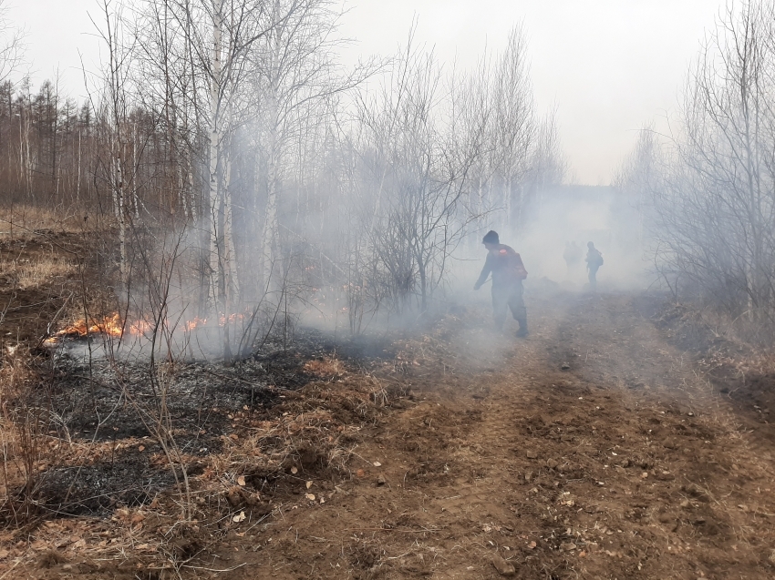Лесопожарные формирования Забайкальского края тушат пожар рядом с Читой