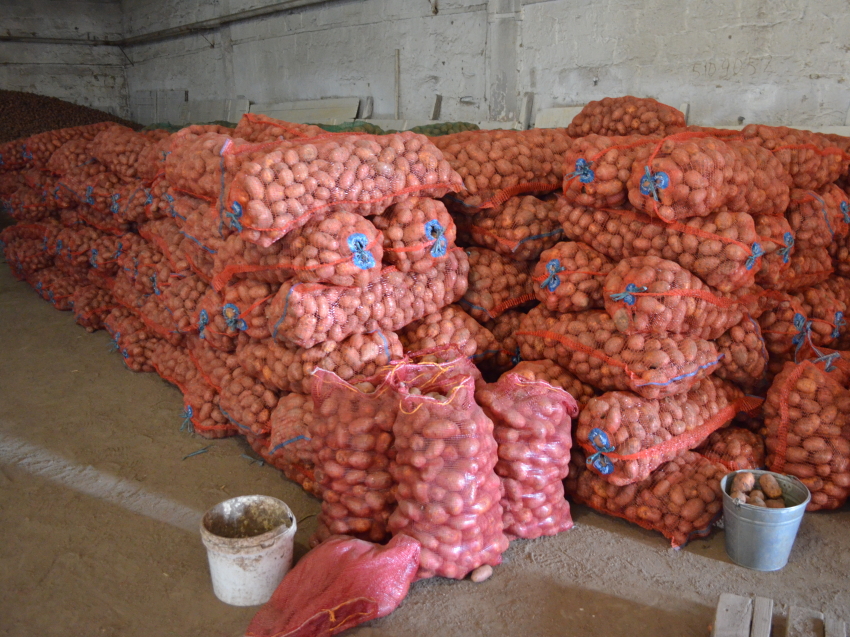 Жителям пострадавших от паводка районов Забайкалья начали доставлять овощи