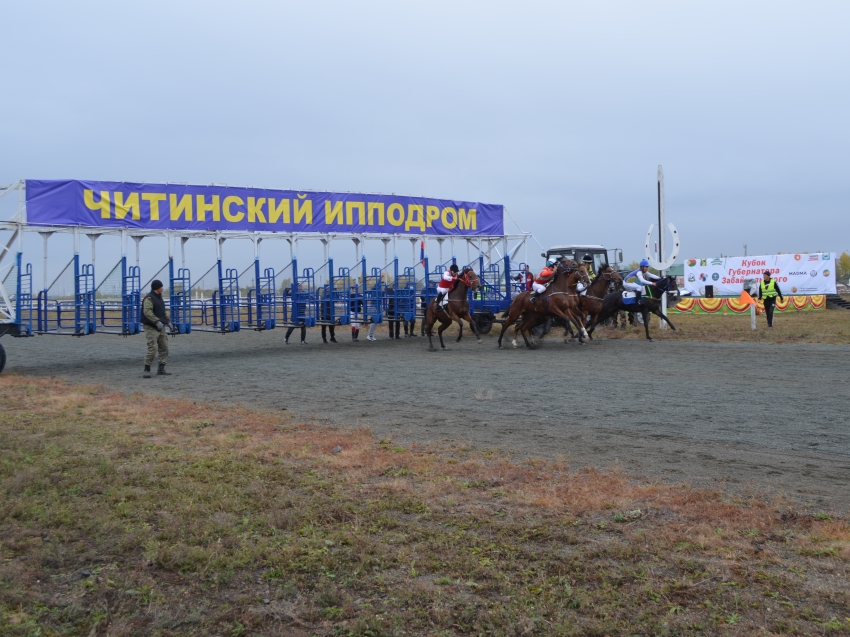 Читинская госконюшня планирует с 2022 года увеличить число соревнований 