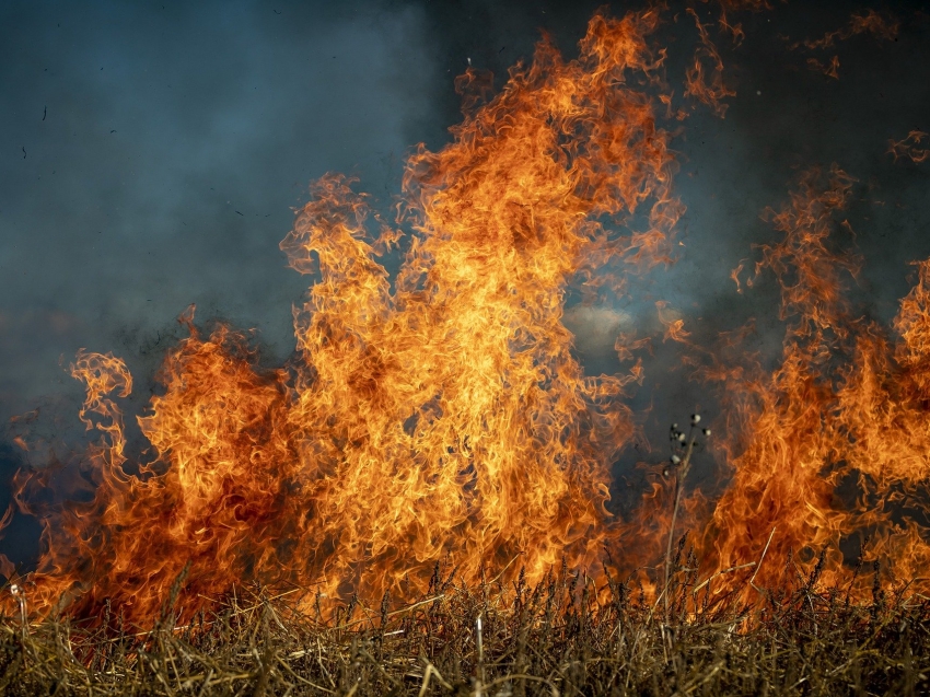 Штрафы для поджигателей леса в Забайкалье вырастут в десять раз