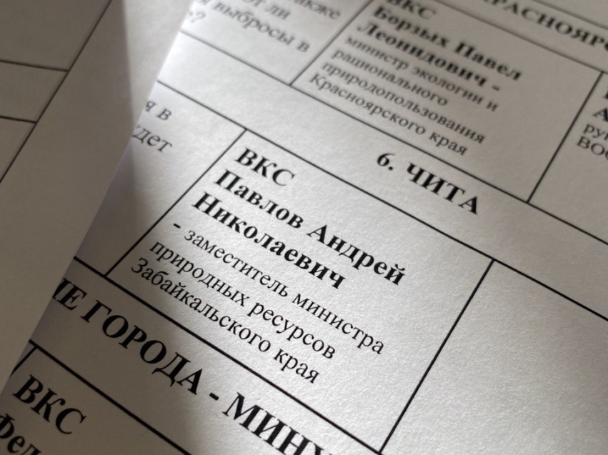 Минприроды Zабайкалья поучаствовало в онлайн-совещании по «Чистому воздуху» 