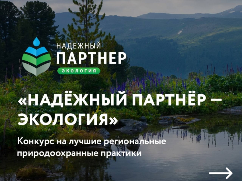 ​Забайкальцы могут поучаствовать в конкурсе «Надёжный партнёр — экология»