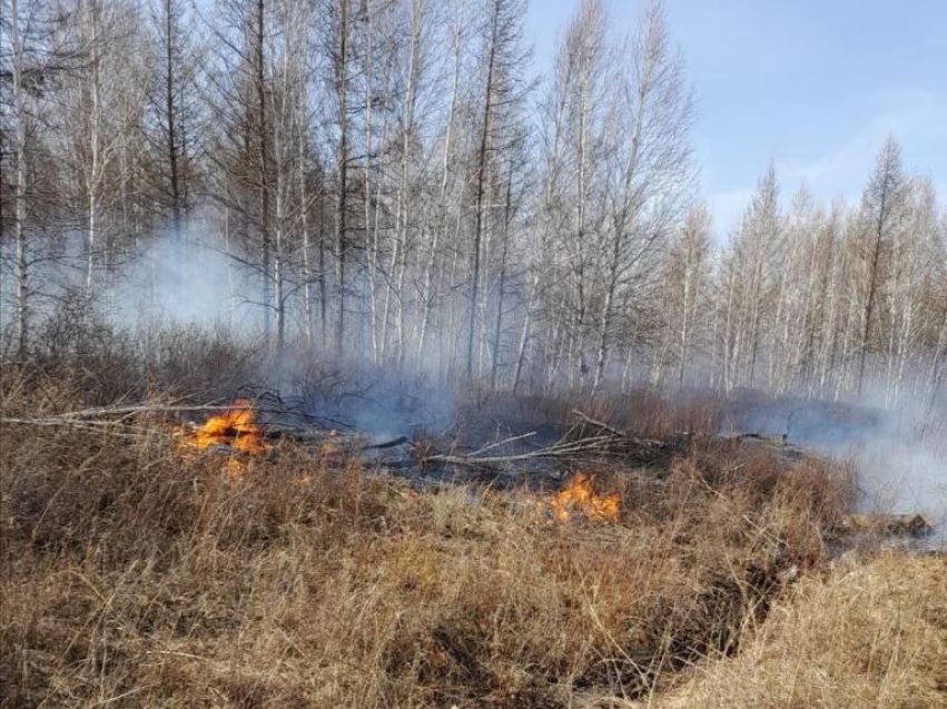 ​Шесть лесных пожаров ликвидировали за прошедшие сутки в Zабайкалье