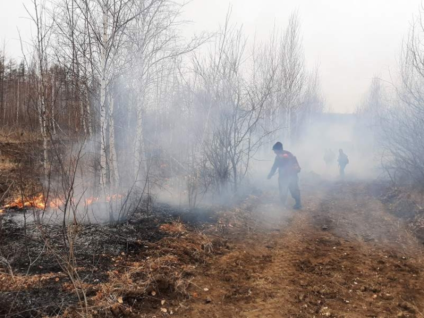 90% лесных пожаров в Zабайкалье потушили в первые сутки