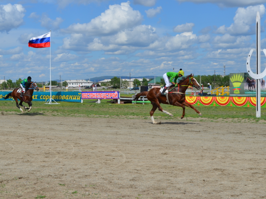 Конноспортивные соревнования и ярмарка сельхозпродукции пройдут на Читинской госконюшне