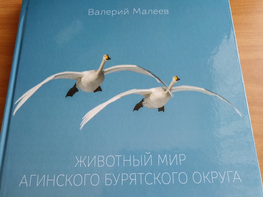 ​Издан фотоальбом о животном мире Аги