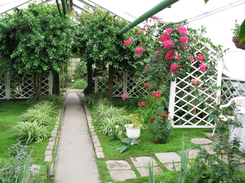 Забайкальский ботанический сад проведет День открытых дверей