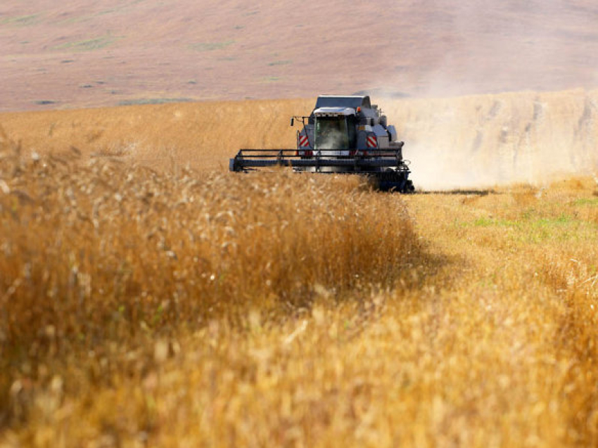 Темпы уборки зерновых культур в Zабайкалье втрое выше уровня 2021 года