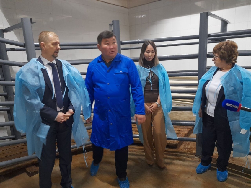 Площадка по убою скота открылась после пятилетнего перерыва в Маккавеево 