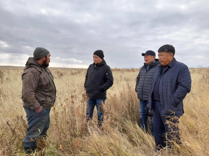 ​Уборку зерновых завершают хозяйства Могойтуйского района предпросмотр