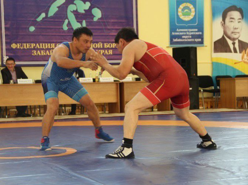 ​XX турнир АБО  по вольной борьбе на кубок Бадмы Цыренова пройдет  в Агинском 25-26 ноября