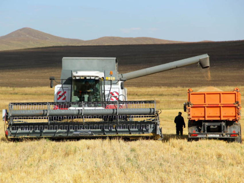Правительство России компенсировало хозяйствам Zабайкалья затраты на производство зерновых культур