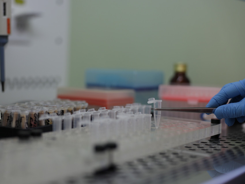 ​ За последние сутки COVID-19 выявлен у 21 забайкальца