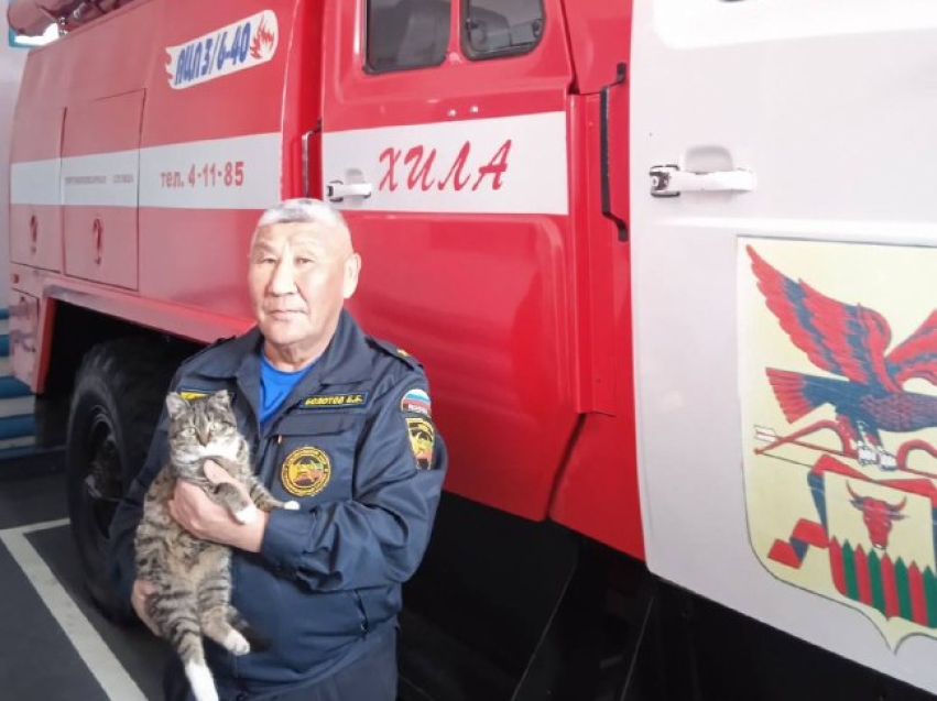 В Zабайкалье пожарные спасли сбитого машиной котенка 