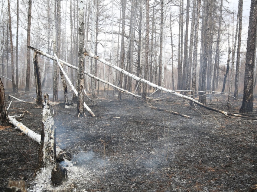 Поджигателей лесов в Забайкалье будут выслеживать с помощью беспилотников
