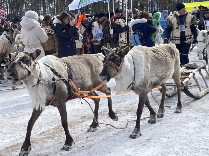 ​День оленевода на севере Забайкалья впервые собрал эвенков из пяти регионов России