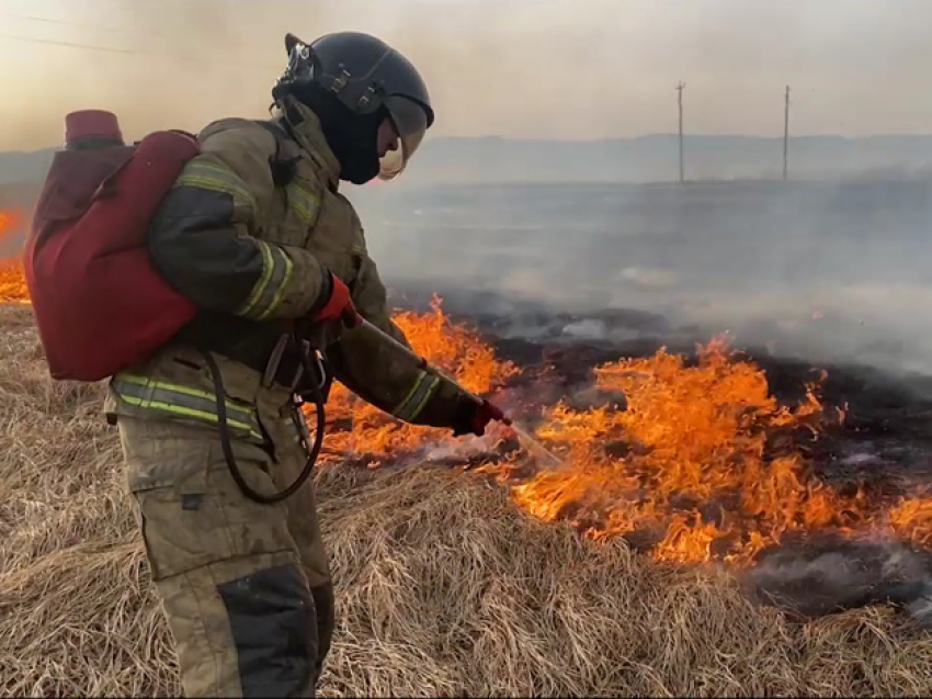 Три крупных ландшафтных пожара ликвидированы в Чите 31 марта