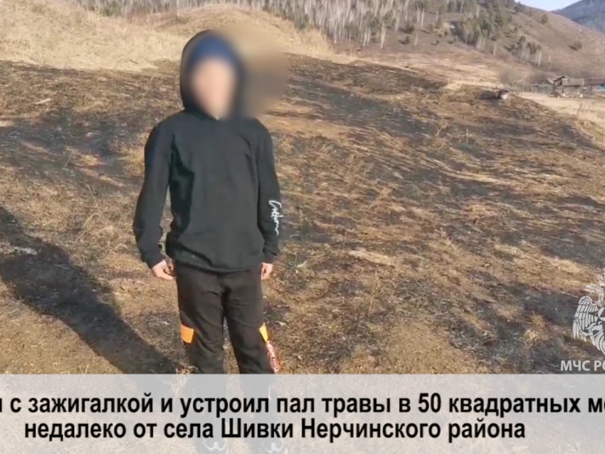 Виновниками ландшафтных пожаров в Забайкалье стали шестеро детей