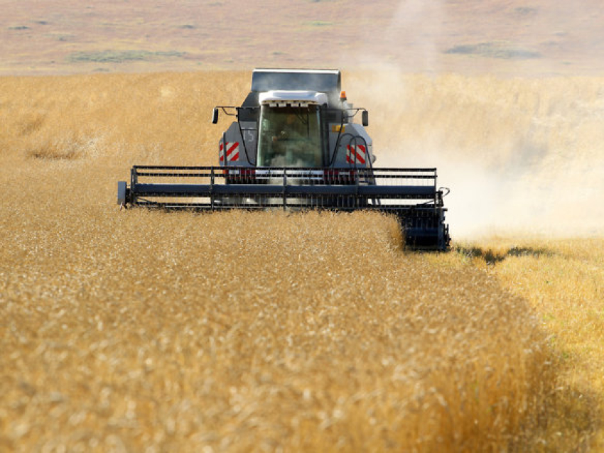 ​Забайкалье вошло в ТОП-5 регионов России по развитию сельскохозяйственной кредитной кооперации