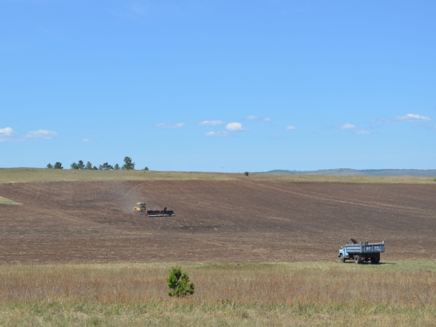 В рамках весенне-полевых работ забайкальских аграриев поддерживают субсидиями