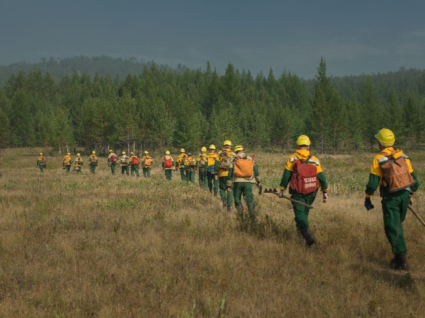 На борьбу с пожарами в Забайкалье направят лесной «спецназ»