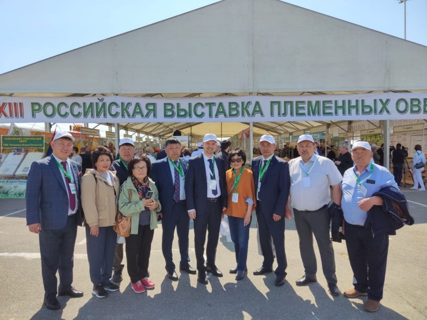 ​Делегация Забайкалья принимает участие в Российской выставке племенных овец в Дагестане
