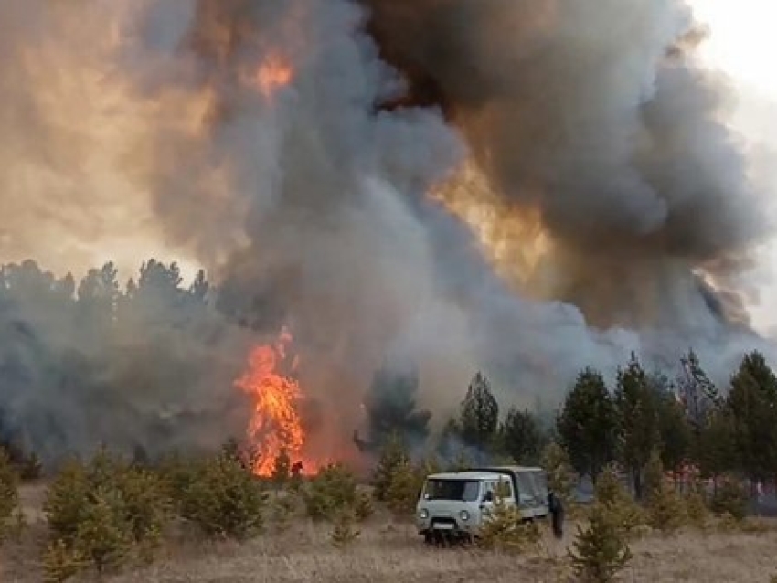​Лесной пожар тушат в Шилкинском районе Забайкалья предпросмотр