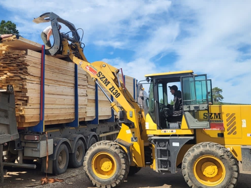 Проблему сырья для предпринимателя из Новопавловки решит аукцион по аренде лесных участков 