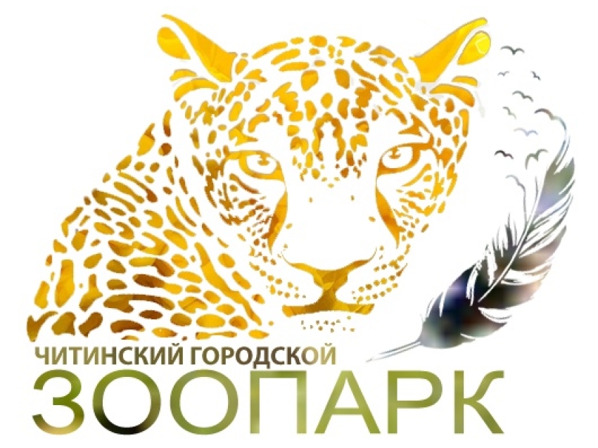 Конкурс на разработку нового логотипа объявил Читинский городской зоопарк 