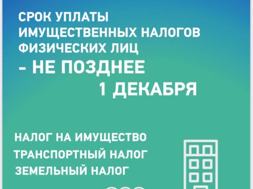 Налоговая служба: Имущественные налоги необходимо заплатить не позднее 1 декабря