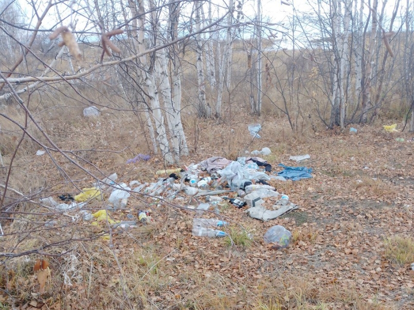 Более 50 кубометров мусора собрали сотрудники природного Ивано-Арахлейского парка в Забайкалье