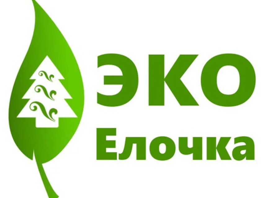Забайкальцы могут принять участие в акции «Новогодняя экоигрушка»