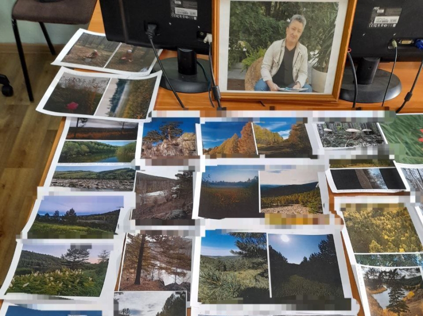 Минприроды объявило итоги краевого фотоконкурса «Сохраним леса Забайкальского края»