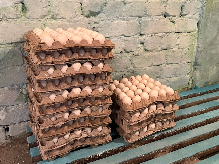 Минэконом Забайкалья: Стоимость яиц в регионе  может стабилизироваться в январе предпросмотр