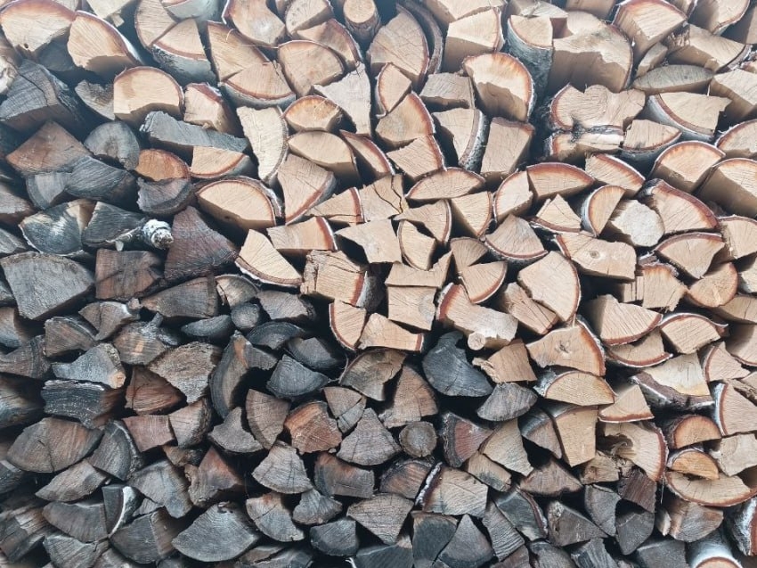Квитанции за дрова семьи участников СВО могут получать в КГСАУ «Забайкаллесхоз» и у лесозаготовителей в районах
