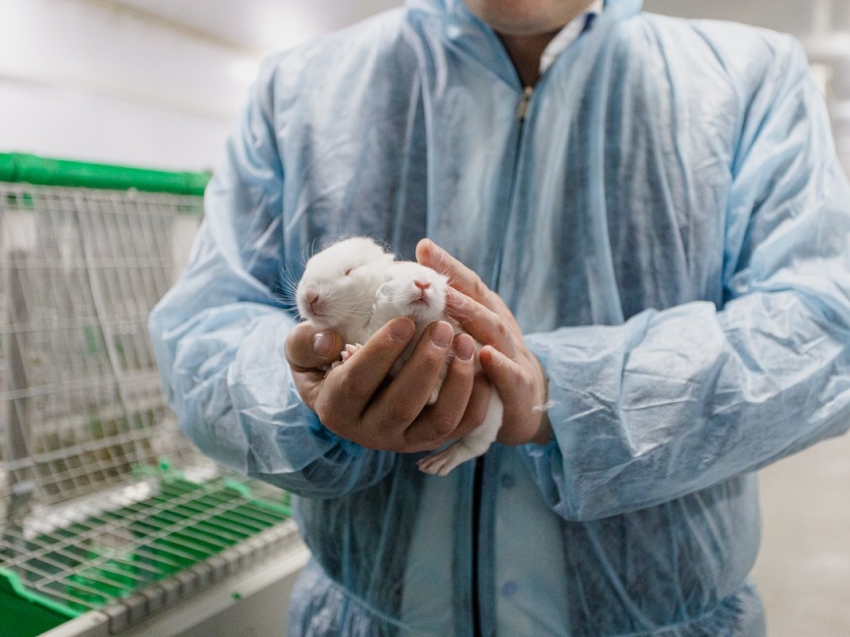 В Минэкономразвития Забайкалья рассказали о работе над сохранением господдержки бизнеса