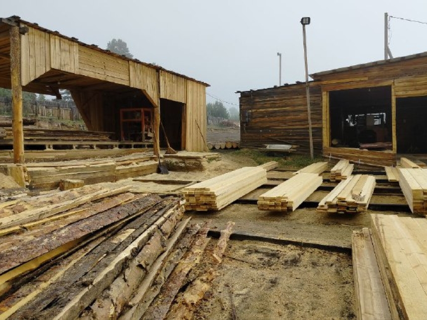 Александр Осипов о незаконной заготовке древесины в регионе: «Боремся и побеждаем»