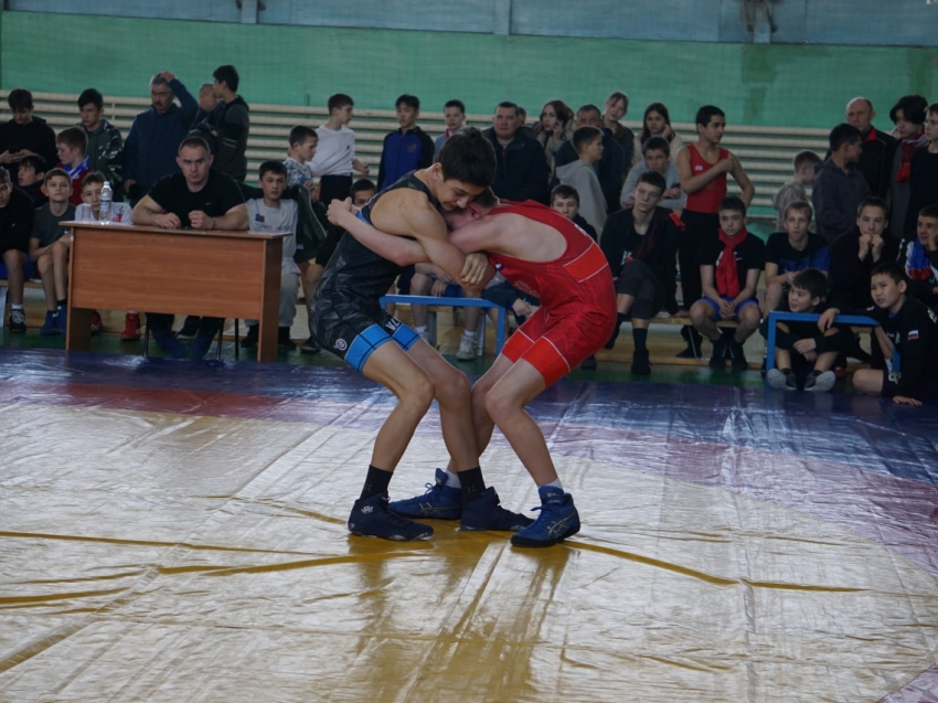​Межрегиональный турнир по греко-римской борьбе прошел в Шилке
