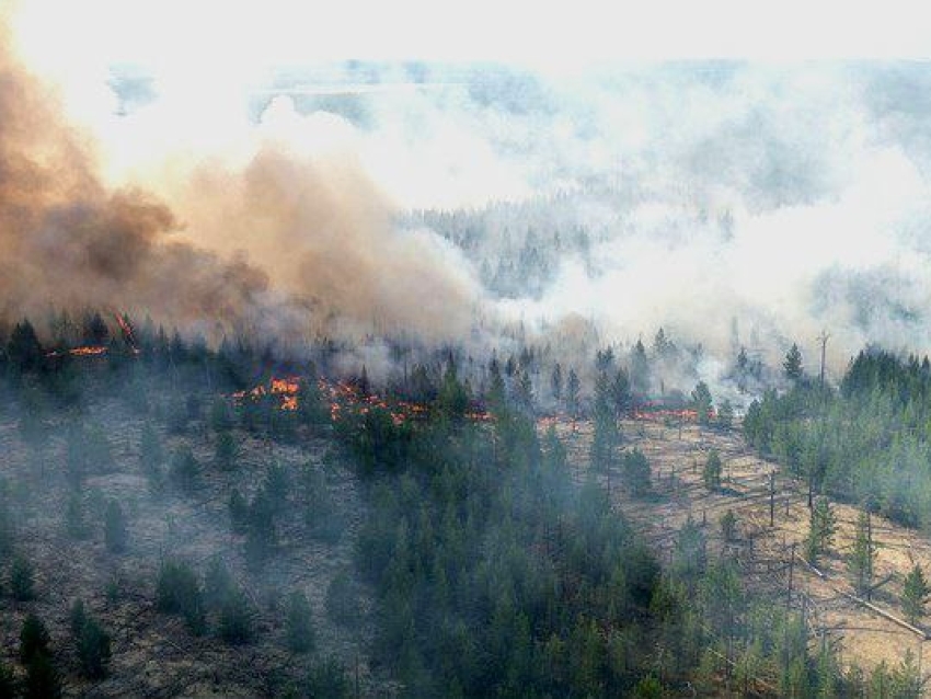 Режим повышенной готовности введён для спецслужб на территории Забайкалья из-за природных пожаров