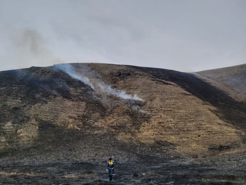 Три пожара ликвидировали лесные пожарные в Забайкалье предпросмотр