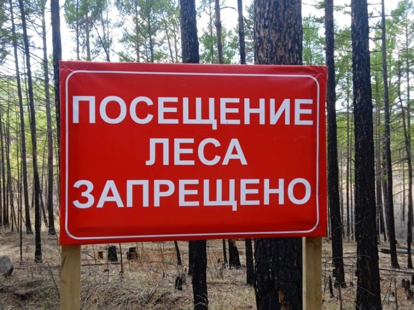 В Забайкалье нет действующих лесных пожаров