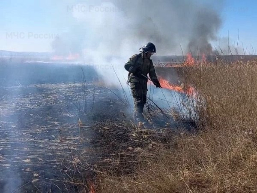 Забгидромет предупреждает о высоком классе пожарной опасности в районах края