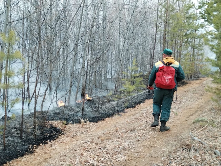 Два лесных пожара ликвидировали за прошедшие сутки в Забайкалье