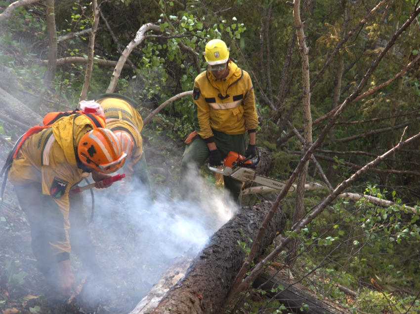 Авиалесоохрана: в Забайкалье ликвидировано 16 лесных пожаров на площади, пройденной огнем более 134 тысячи гектаров